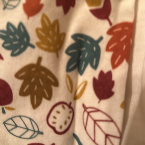 NWT chick pea 2 pc. Fall outfit - Picture 8 of 9